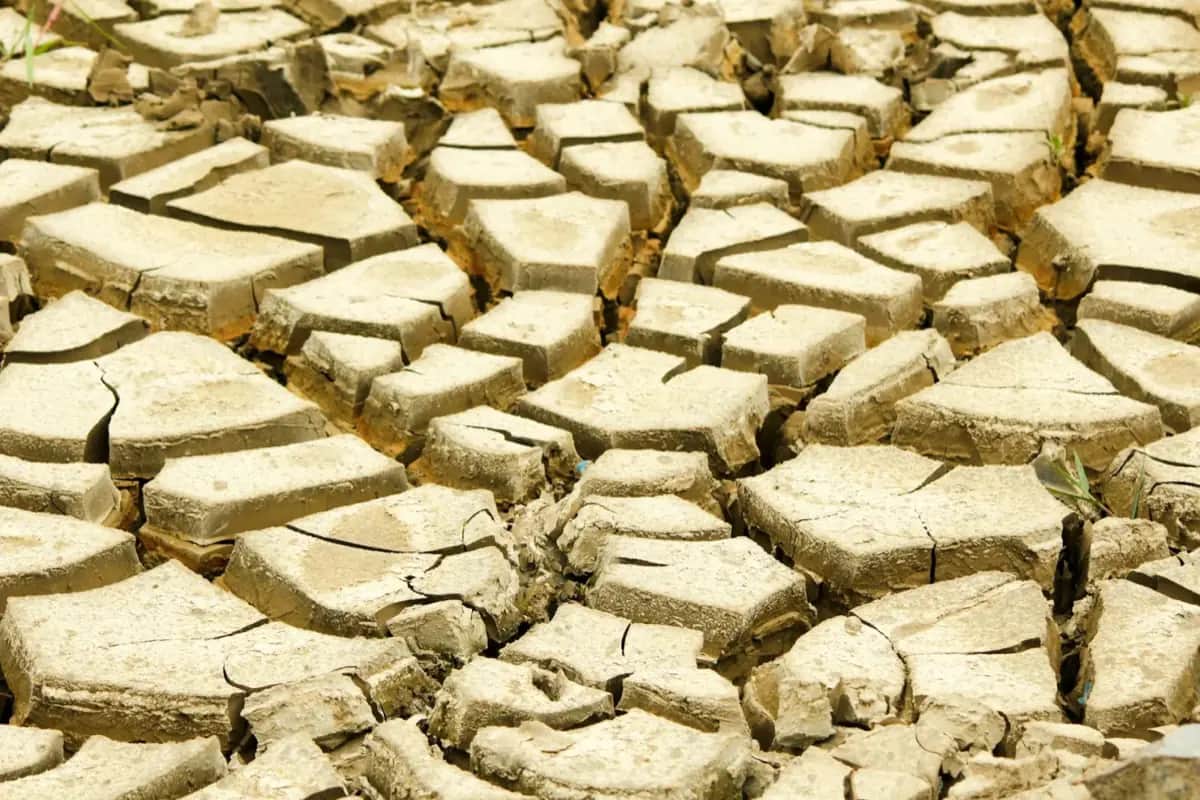 12 Tipps für den Umgang mit extremer Hitze im Sommer
