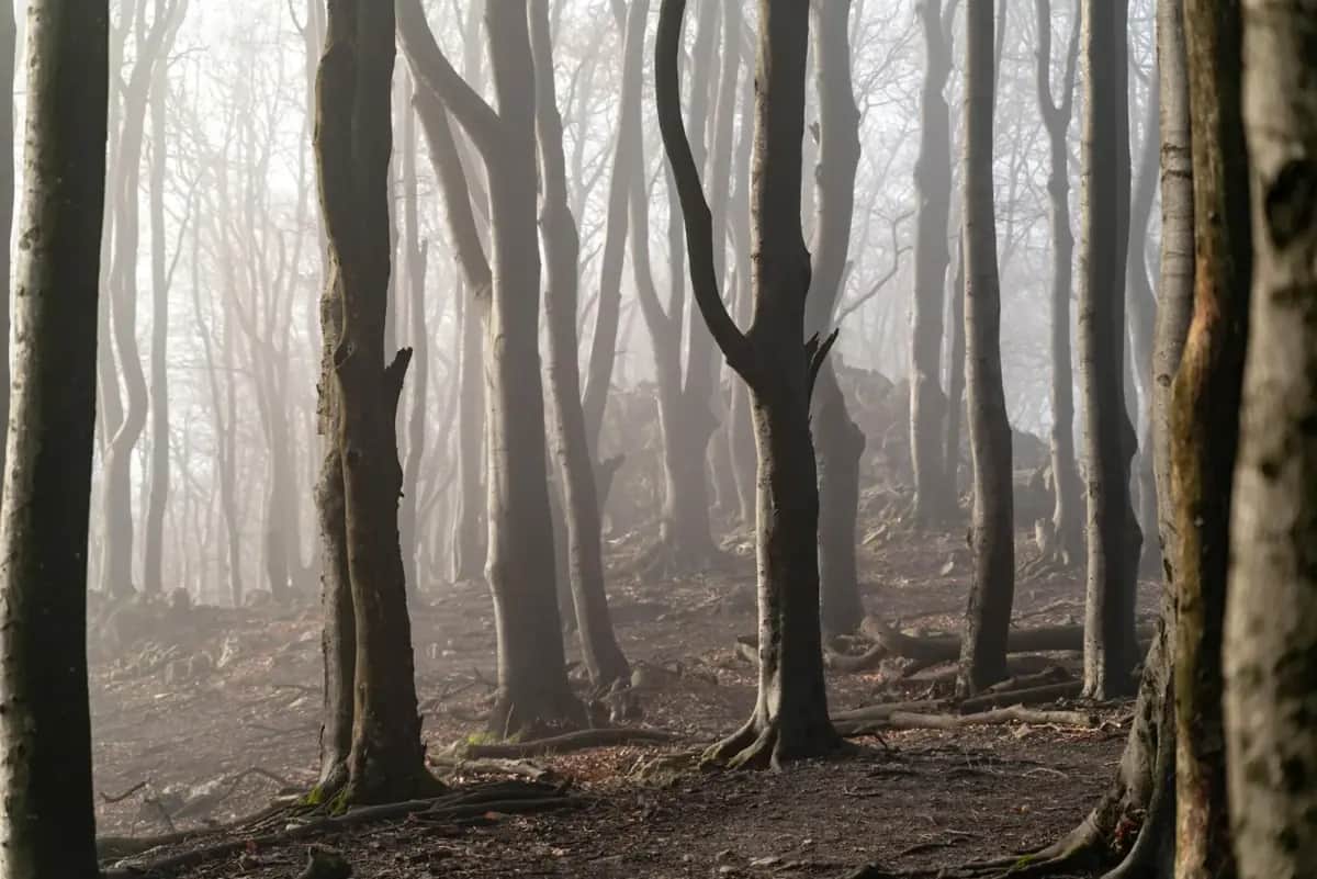 Klimawandel und Hitzewellen: Warum Krisenvorsorge jetzt auch Sommervorbereitung bedeutet