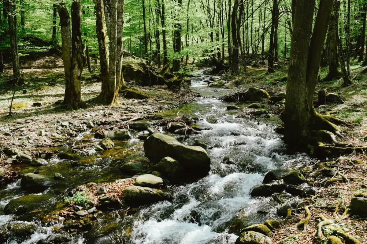 Wasser abkochen, chloren, UV-behandeln: Schritt für Schritt Anleitung