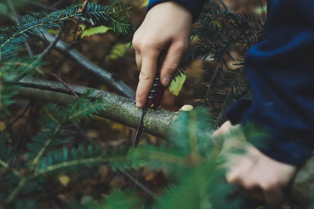 Survival-Messer Vergleich: Die 5 besten Messer für den Notfall
