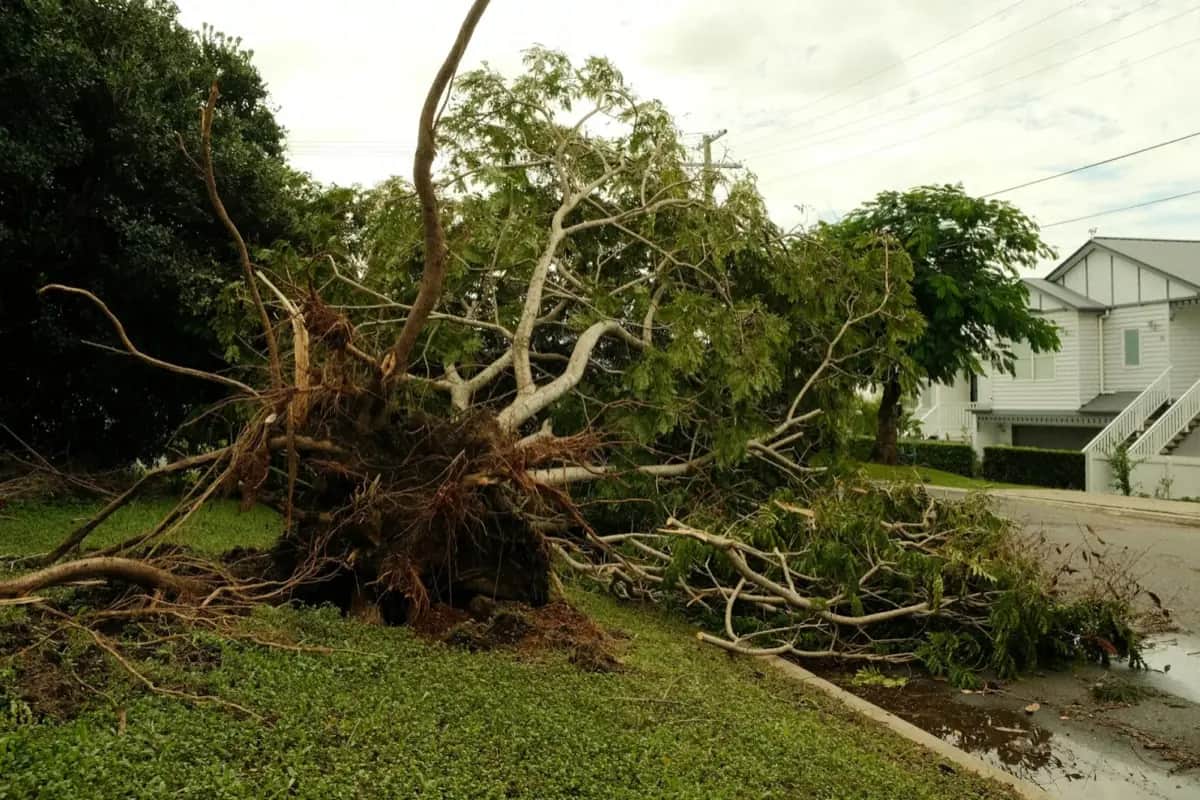 Unwetter-Checkliste: Was du vor, während und nach dem Sturm tun musst